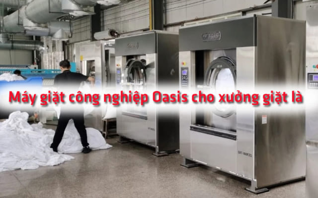 Máy giặt công nghiệp Oasis cho xưởng giặt là